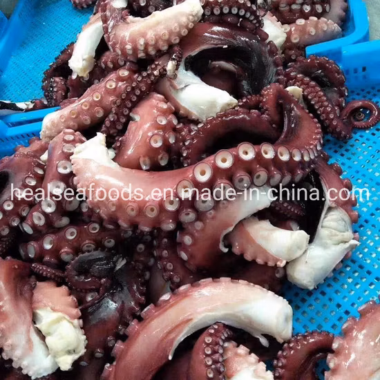 Seafood Frozen Fresh Giant Squid Tentacles