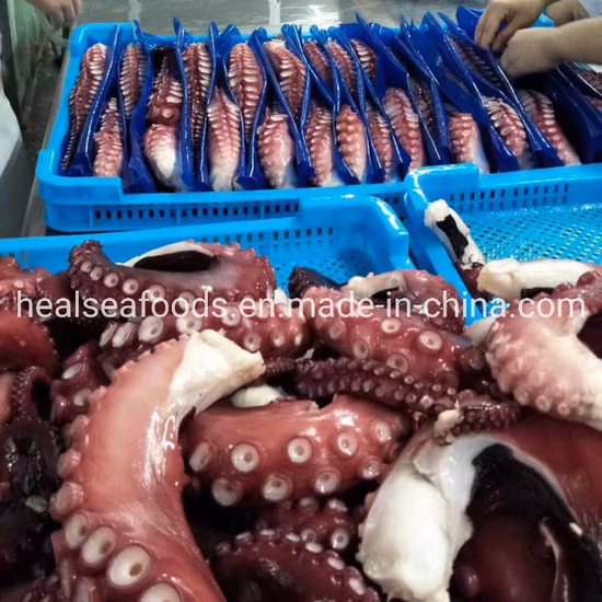 Seafood Frozen Fresh Giant Squid Tentacles
