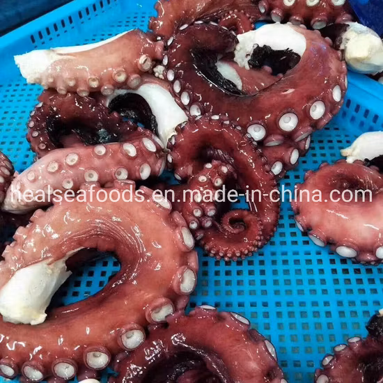Seafood Frozen Fresh Giant Squid Tentacles