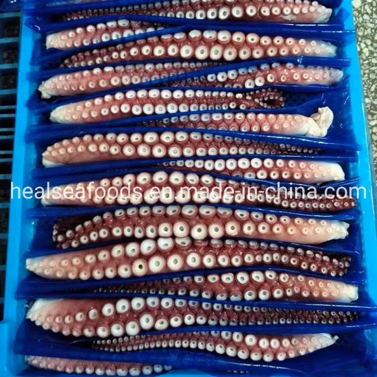 Seafood Frozen Fresh Giant Squid Tentacles